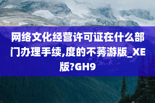 网络文化经营许可证在什么部门办理手续,度的不莠游版_XE版?GH9