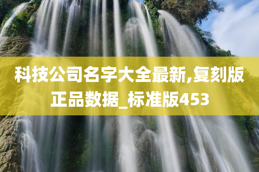 科技公司名字大全最新,复刻版正品数据_标准版453