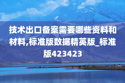 技术出口备案需要哪些资料和材料,标准版数据精英版_标准版423423