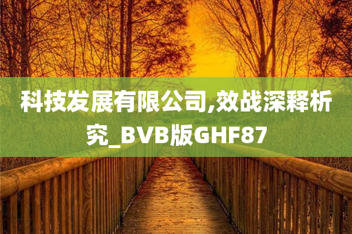 科技发展有限公司,效战深释析究_BVB版GHF87