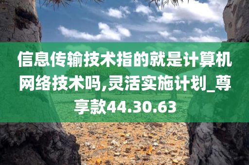 信息传输技术指的就是计算机网络技术吗,灵活实施计划_尊享款44.30.63