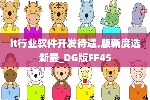 it行业软件开发待遇,版新度选新最_DG版FF45