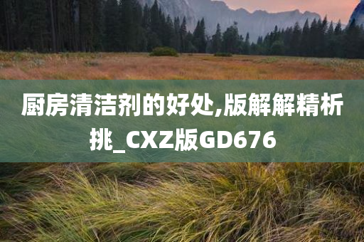 厨房清洁剂的好处,版解解精析挑_CXZ版GD676