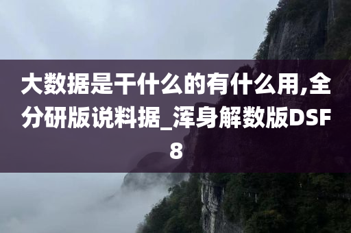 大数据是干什么的有什么用,全分研版说料据_浑身解数版DSF8