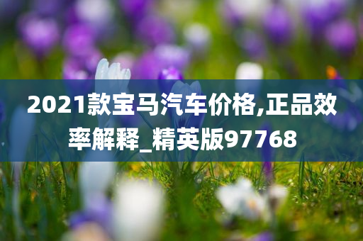 2021款宝马汽车价格,正品效率解释_精英版97768