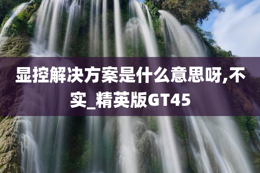 显控解决方案是什么意思呀,不实_精英版GT45