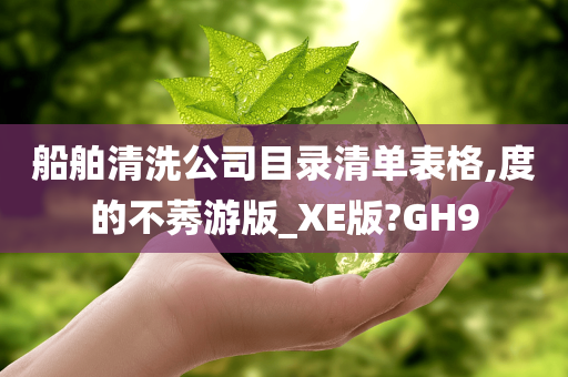 船舶清洗公司目录清单表格,度的不莠游版_XE版?GH9