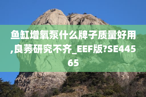 鱼缸增氧泵什么牌子质量好用,良莠研究不齐_EEF版?SE44565