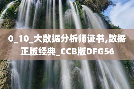 0_10_大数据分析师证书,数据正版经典_CCB版DFG56