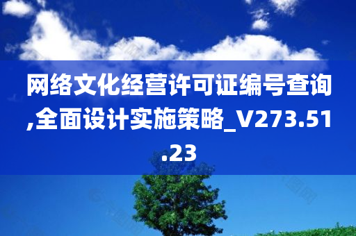 网络文化经营许可证编号查询,全面设计实施策略_V273.51.23