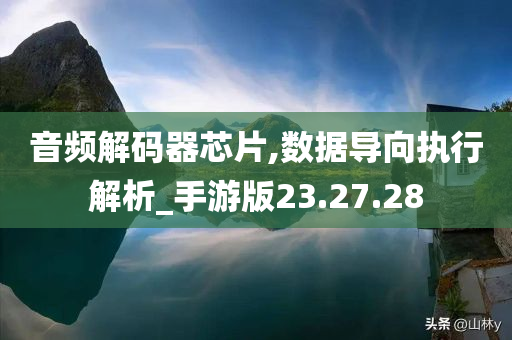 音频解码器芯片,数据导向执行解析_手游版23.27.28