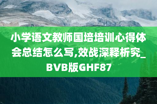 小学语文教师国培培训心得体会总结怎么写,效战深释析究_BVB版GHF87