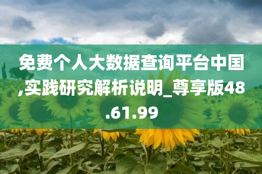 免费个人大数据查询平台中国,实践研究解析说明_尊享版48.61.99