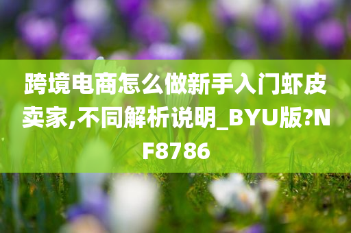 跨境电商怎么做新手入门虾皮卖家,不同解析说明_BYU版?NF8786