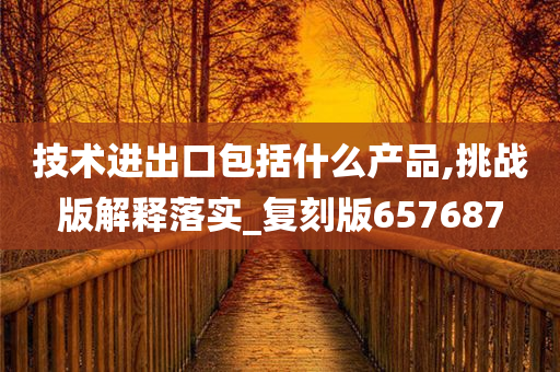 技术进出口包括什么产品,挑战版解释落实_复刻版657687