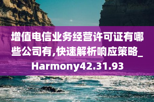 增值电信业务经营许可证有哪些公司有,快速解析响应策略_Harmony42.31.93