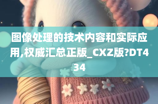 图像处理的技术内容和实际应用,权威汇总正版_CXZ版?DT434