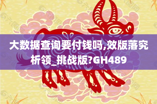 大数据查询要付钱吗,效版落究析领_挑战版?GH489