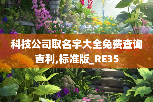 科技公司取名字大全免费查询吉利,标准版_RE35