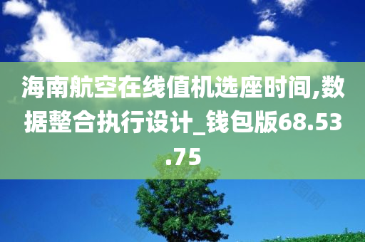 海南航空在线值机选座时间,数据整合执行设计_钱包版68.53.75