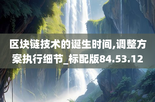 区块链技术的诞生时间,调整方案执行细节_标配版84.53.12