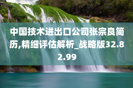 中国技术进出口公司张宗良简历,精细评估解析_战略版32.82.99