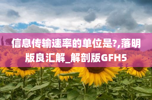 信息传输速率的单位是?,落明版良汇解_解剖版GFH5