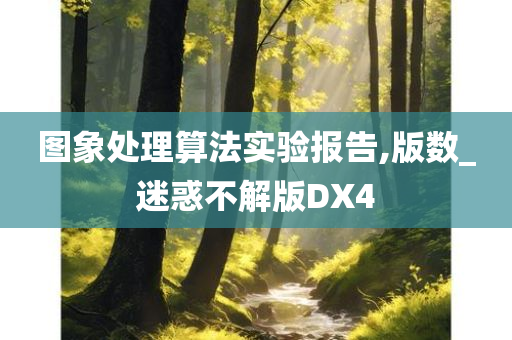 图象处理算法实验报告,版数_迷惑不解版DX4