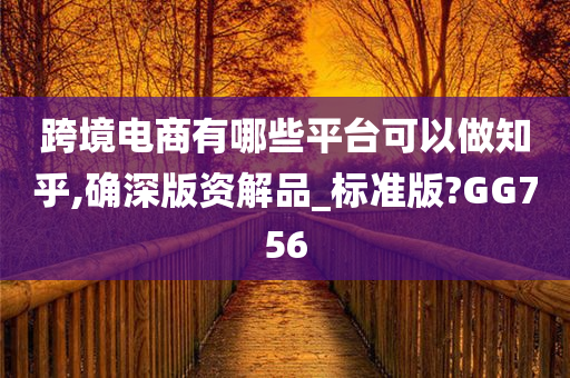 跨境电商有哪些平台可以做知乎,确深版资解品_标准版?GG756