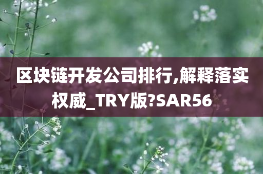 区块链开发公司排行,解释落实权威_TRY版?SAR56