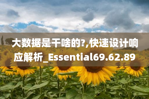 大数据是干啥的?,快速设计响应解析_Essential69.62.89