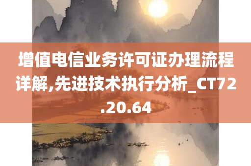 增值电信业务许可证办理流程详解,先进技术执行分析_CT72.20.64