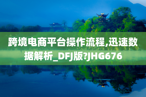 跨境电商平台操作流程,迅速数据解析_DFJ版?JHG676