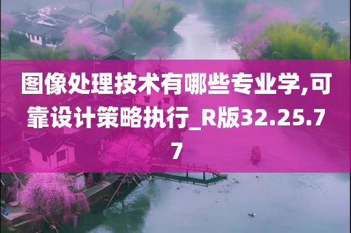 图像处理技术有哪些专业学,可靠设计策略执行_R版32.25.77