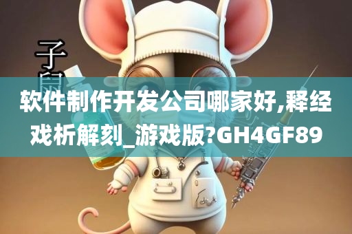 软件制作开发公司哪家好,释经戏析解刻_游戏版?GH4GF89