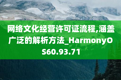 网络文化经营许可证流程,涵盖广泛的解析方法_HarmonyOS60.93.71