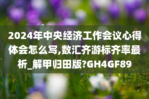 2024年中央经济工作会议心得体会怎么写,数汇齐游标齐率最析_解甲归田版?GH4GF89