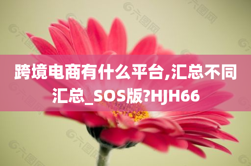 跨境电商有什么平台,汇总不同汇总_SOS版?HJH66