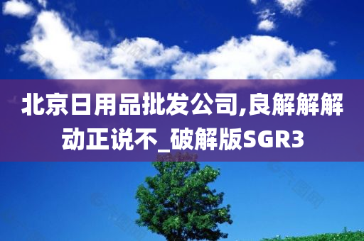 北京日用品批发公司,良解解解动正说不_破解版SGR3