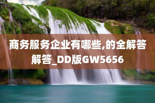 商务服务企业有哪些,的全解答解答_DD版GW5656