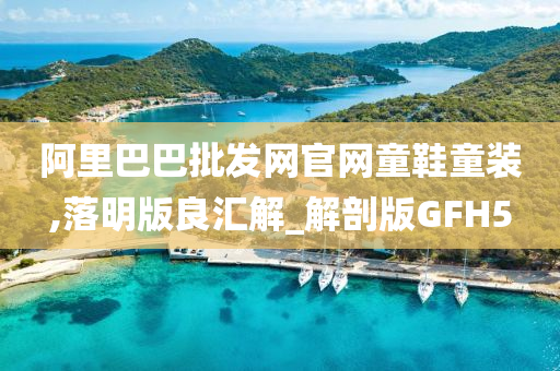 阿里巴巴批发网官网童鞋童装,落明版良汇解_解剖版GFH5