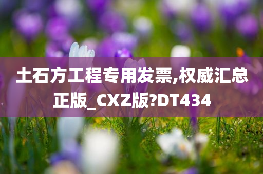 土石方工程专用发票,权威汇总正版_CXZ版?DT434