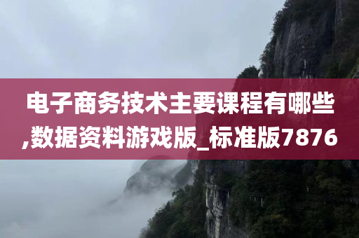 电子商务技术主要课程有哪些,数据资料游戏版_标准版7876