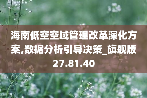 海南低空空域管理改革深化方案,数据分析引导决策_旗舰版27.81.40