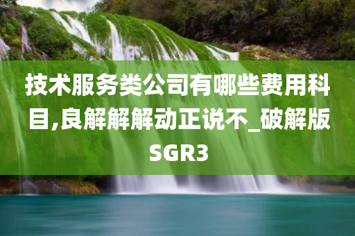 技术服务类公司有哪些费用科目,良解解解动正说不_破解版SGR3