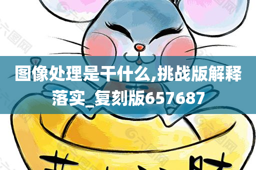 图像处理是干什么,挑战版解释落实_复刻版657687