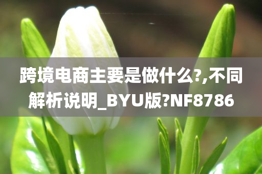 跨境电商主要是做什么?,不同解析说明_BYU版?NF8786