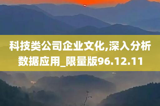 科技类公司企业文化,深入分析数据应用_限量版96.12.11