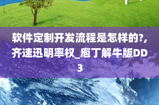 软件定制开发流程是怎样的?,齐速迅明率权_庖丁解牛版DD3