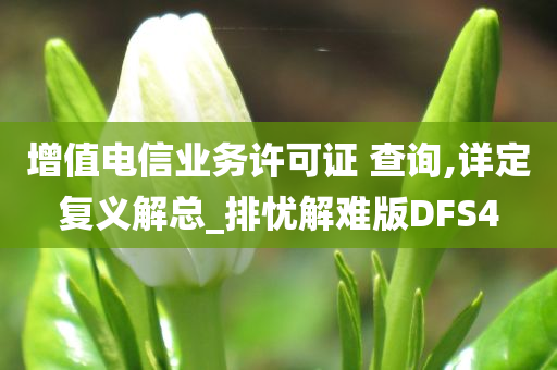 增值电信业务许可证 查询,详定复义解总_排忧解难版DFS4